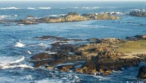 Tarkine Wilderness Helicopter Tours