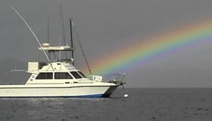 Underwater Adventures Tasmania