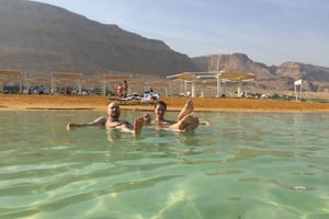 マサダ、エン ゲディ、死海のプライベート 1 日ツアー