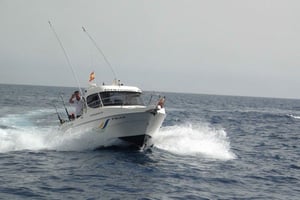 Adeje: 3,5 uur professioneel vissen