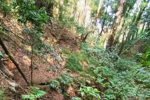 Каньонинг Анага Тенерифе