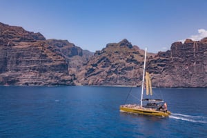 Коста Адехе: круиз по наблюдению за китами Маска и Лос-Гигантес