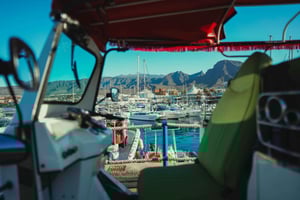 Costa Adeje: Tuk Tuk Tour