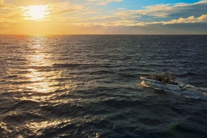 Costa Adeje: Whale and Dolphin-Watching Boat Excursion