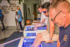 Fußpflege-Erlebnis und Fisch-Spa Playa Fañabé