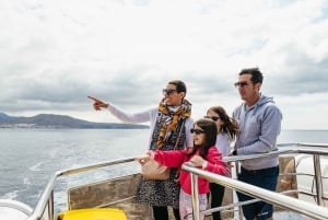 Los Cristianos: tour in eco-yacht con balene e nuotata