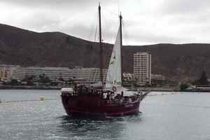 Etelä-Teneriffa: kunnioittavaa valaiden tarkkailua merirosvolaivalla ja uimista