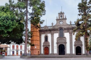 Gran Canarias Gipfel im Minibus: Firgas, Teror, Aloe Vera Tour