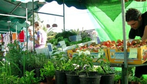 Playa San Juan Market