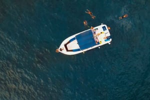 Частный чартер Частный чартер для наблюдения за китами — 3 часа