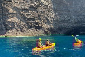Punta de Teno: Kajaksafari met uitzicht op de kliffen van Los Gigantes