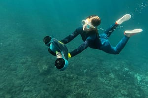 Skoter kul snorcel tur i turtle området