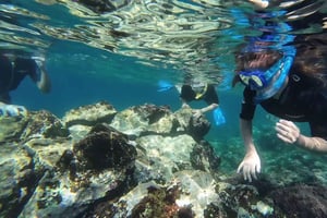 Snorkling i en vulkansk bugt