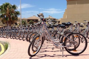 Sør-Tenerife: Sykkelutleie med hotelllevering