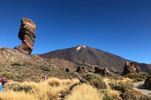 Tenerife: Dagtrip naar de berg Teide, Masca, Icod en Garachico