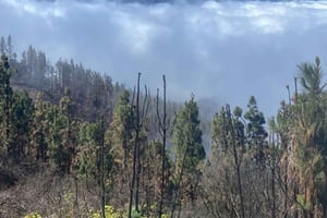 Teide Små grupper, privata turer.