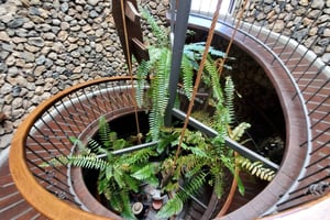 Teneriffa: Weingut Viñátigo - Kommentierte Verkostung von 3 Weinen