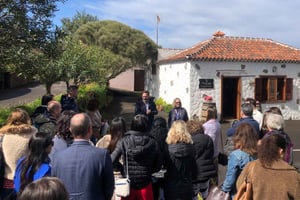 Tal von Tegueste: Wein Tour mit Verkostung im Weingut El Lomo