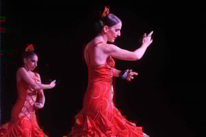 Tenerife: Flamenco Performance at Teatro Coliseo