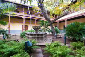 Tenerife: Dagvullende Gastronomie en Wijn Tour