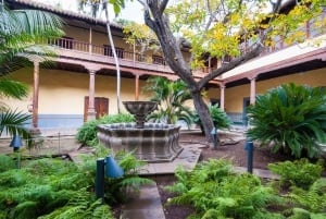 Tenerife: Tour de día completo de Gastronomía y Vino