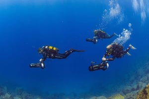 Tenerife: Guidet dykning og Scooter oplevelse