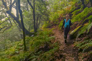 Tenerife: Hike Above Masca in Enchanted Forest with Pick-up