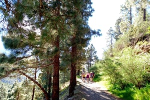 Tenerife: Hiking Above the Village of Masca