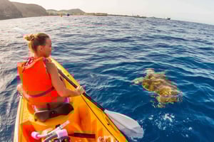 Tenerife: Kajak & snorkeltour - Kleine groepen