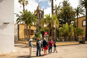 Tenerife: La Laguna, Aloe Vera Farm, and Lunch Tour