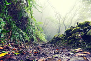 Tenerife: Fottur til La Laguna og Anaga