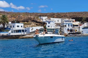 Tenerife: Passeio de barco e excursão marítima no sul da ilha