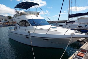 Teneriffan eteläosa: safari luksusveneellä, kohtaamisia eläinten kanssa