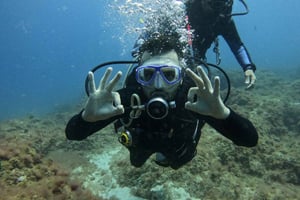Tenerife: Beginnersduik op een plek waar schildpadden worden gezien