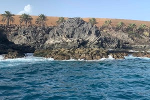 Tenerife: Undervands Lava Tongues Snorkel Udflugt