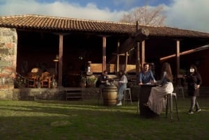 Tenerife: Ticket de entrada al Museo del Vino con degustación de vinos locales y gastronomía