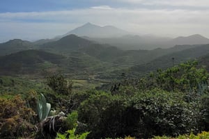 Teno: Kierros Erjosista vuorten harjanteen yli, josta on näkymä Mascaan