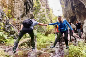Teno-vandfaldene og den tropiske jungle på Tenerife