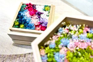 Opplev å lage en blomsterprydet japansk hage i miniformat