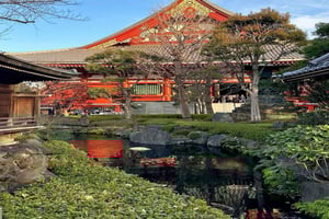 De Nagoya: passeio panorâmico privativo em Tóquio com guia em inglês