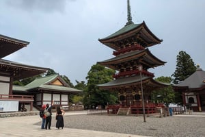 Vom Flughafen Narita: Private Layover oder Transit Guided Tour