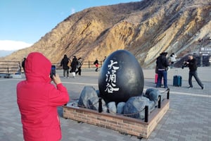 From Odawara: Hakone Scenic Adventure & Boat Cruise