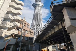 Fra Shizuoka: privat heldagstur til Tokyo med sjåfør