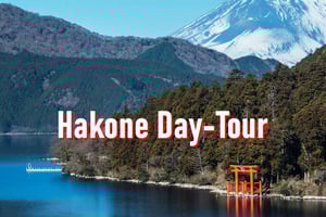 From Tokyo: 10-hour Hakone Private Custom Tour