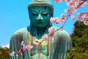 From Tokyo: Kamakura and Enoshima Full-Day Private Trip