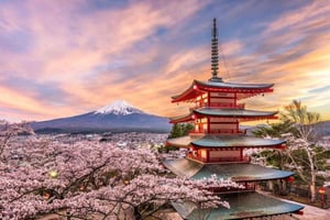 Private Tagestour zum Fuji ab Tokio (anpassbar)