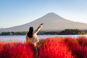 From Tokyo: Mount Fuji Full-Day Customizable Private Tour