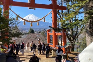 Z Tokio: Góra Fuji i Hakone - prywatna wycieczka 1-dniowa