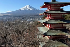 From Tokyo: Mount Fuji Private Day Tour With English Driver