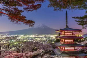 From Tokyo: Mount Fuji Private Day Tour With English Guide